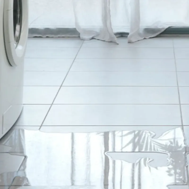 Appliance Leak Cleanup in Wailua, HI